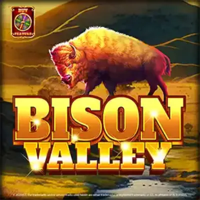 Bison Valley