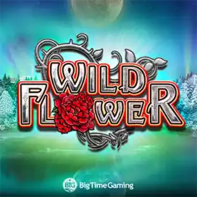 Wild Flower